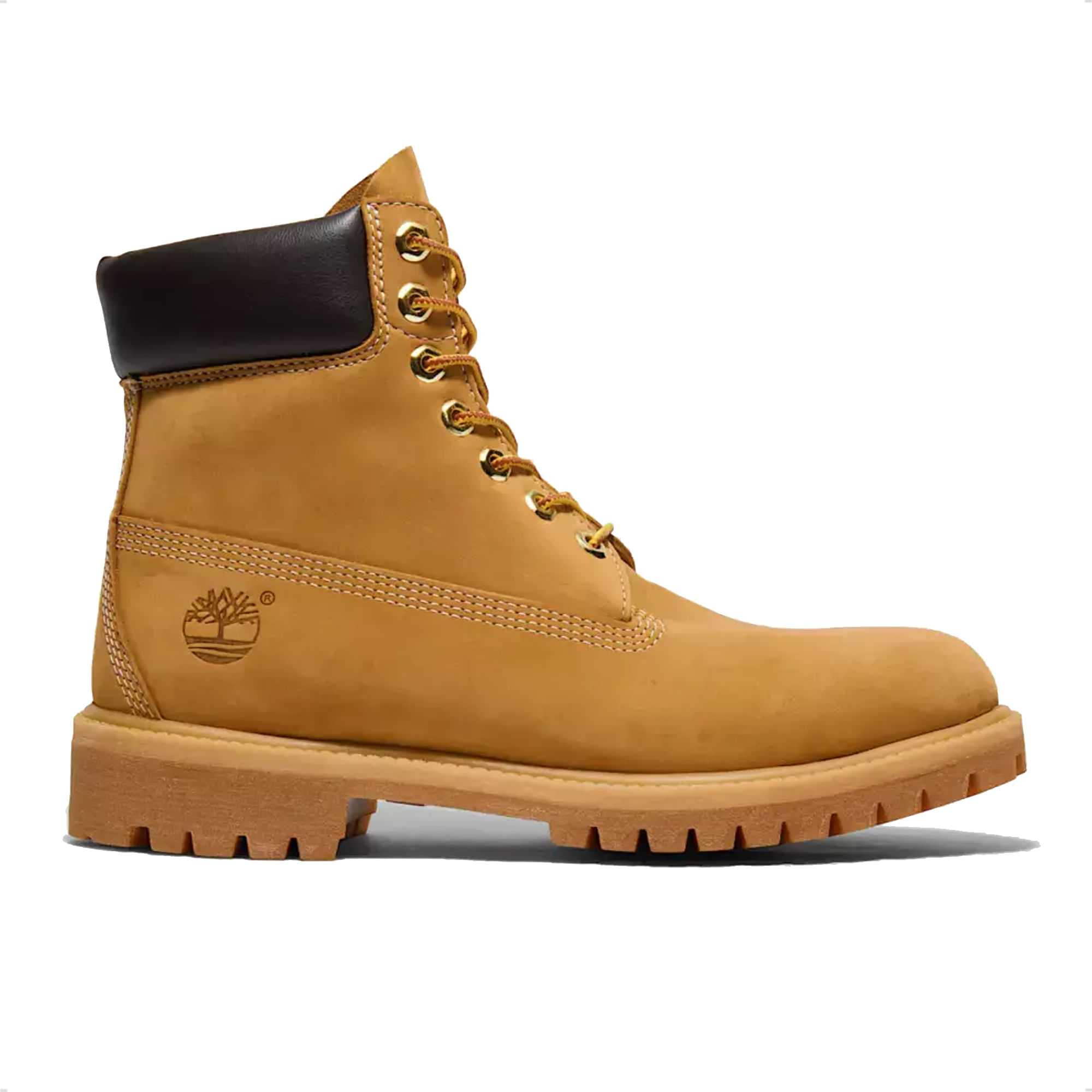 Borcegos Timberland Premium 6 Waterproof para Hombre